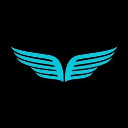 Auto Reflect Detailing's profile image