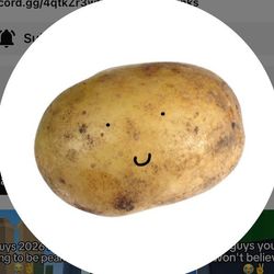 Renovated Potato's profile image