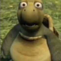 qyrpic's profile image