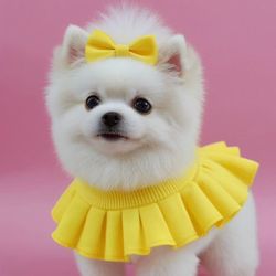Dirlete Sousa's profile image
