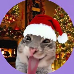 Bro's profile image