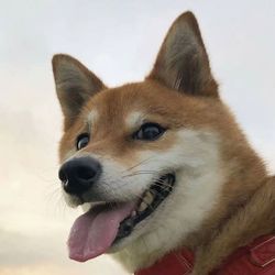 haha.everyday88's profile image