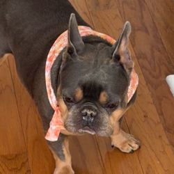 Daisy & Winnie's profile image