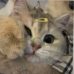user3517399056144's profile image