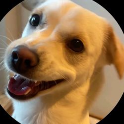 user9924610445676's profile image