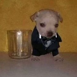 BabyMullet's profile image
