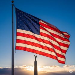 catherinefields1959's profile image