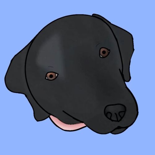 Post Preview Image