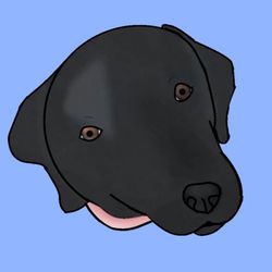 klausious27's profile image