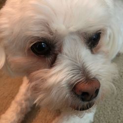 Movie fan009's profile image