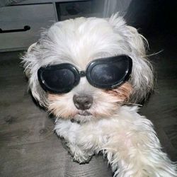 Kylie💋's profile image