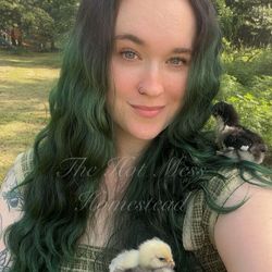 Savannah -Hot Mess Homestead-'s profile image
