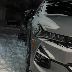 RandoVideo's profile image