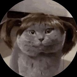 szta141's profile image
