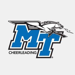 mt_cheerleading's profile image