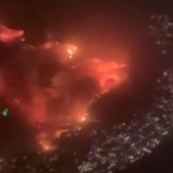 gunbnc's profile image