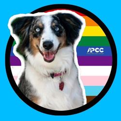 Alicia Pet Care Center 🐾's profile image