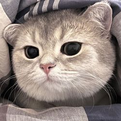 user2294047740786's profile image