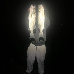 SFF's profile image
