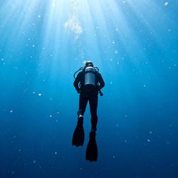 DeepSeaExploration's profile image