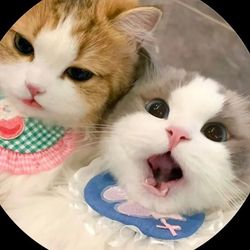 wgbyi2494120's profile image