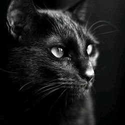 jhon.14's profile image