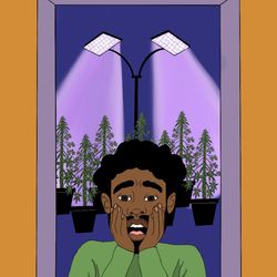 Redeye32's profile image