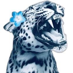 c h a r ♥︎'s profile image