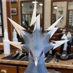 Martin Schilling's profile image