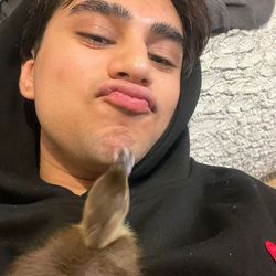 jaysjabber's profile image
