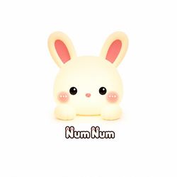 NumNum ASMR 🐰's profile image
