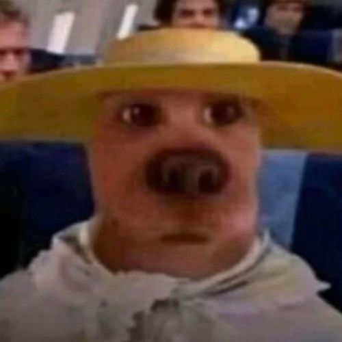 Post Preview Image