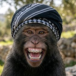 ♕القرود Al  ♕🤖's profile image