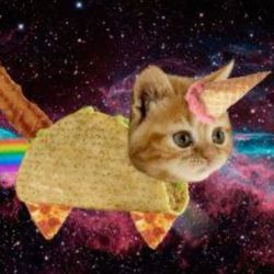 🦄Unicorn🦄's profile image
