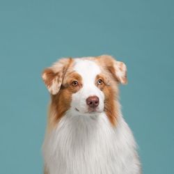 Flambo's profile image