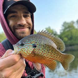 ReelDadEnergy's profile image