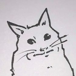 cat.draws's profile image