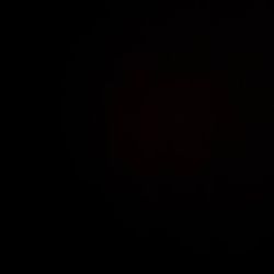 flippa_n's profile image