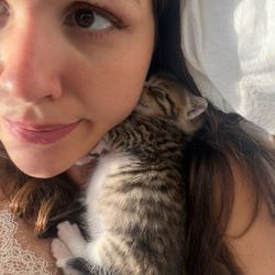 Victoria's profile image