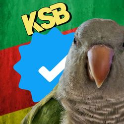 Kenny's profile image