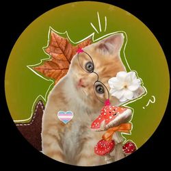 mushie_cat's profile image