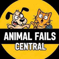 Animal Fails Central's profile image