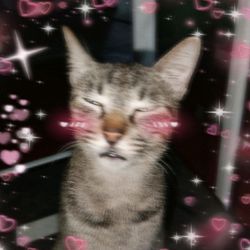 Mingdal_'s profile image