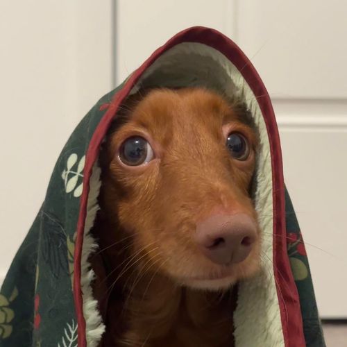 Post Preview Image