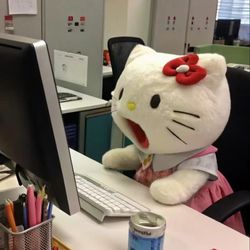 Lissa Friedman's profile image