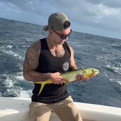 James's profile image