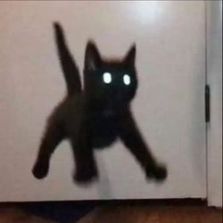 Pet Time 1's profile image
