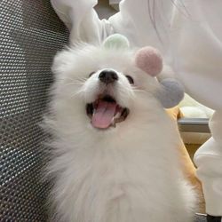 evelynbe's profile image