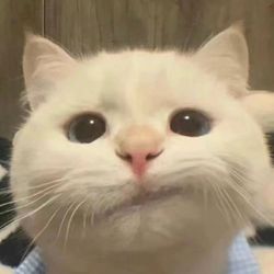 lilfunnybaby_7's profile image