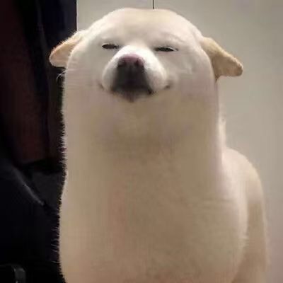 Post Preview Image